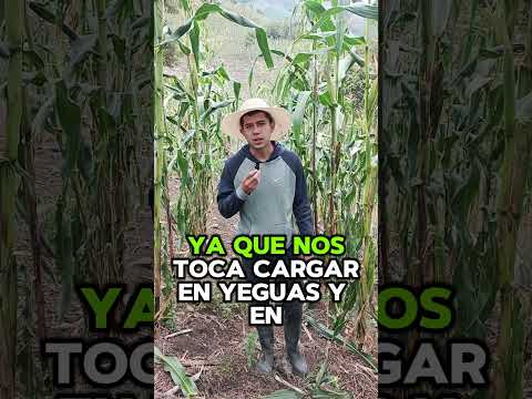 Proyecto Campo Doble Cosecha | AgroEmprende 2026