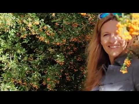 Lovespired Photography video.