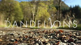 TEASER: The New Video!!