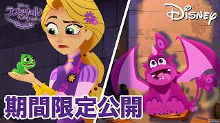 【期間限定無料公開】ラプンツェル ザ・シリーズ | パスカルとドラゴン