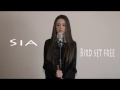 Sia - Bird set free | Daria T - Cover