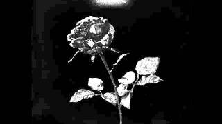 Islands - This Is Not A Song