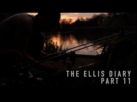 THE ELLIS DIARY - A CARP FISHING REALITY CHECK AND A TRIP DOWN MEMORY LANE!