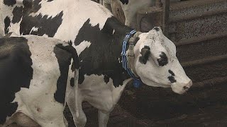 La sfida delle biotecnologie ambientali - futuris