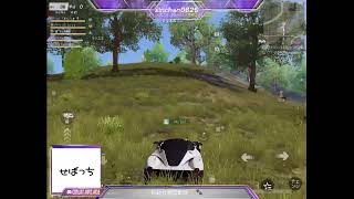 ゆるっと荒野配信ピーク戦