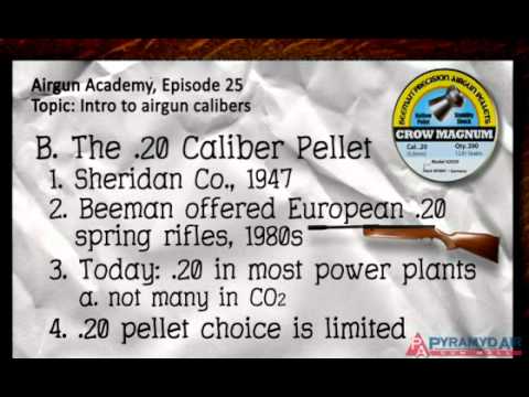 Airgun Academy Episode 25 - Pellets, pellets, pellets