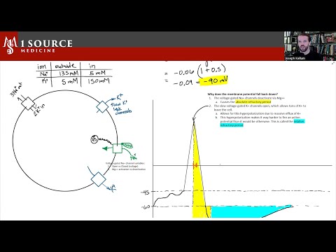 Get To Know the 1SM Comprehensive MCAT Bootcamp