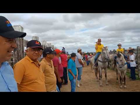 FEIRA DE GADO LAGOA DO OURO-PE 04 03 2026 