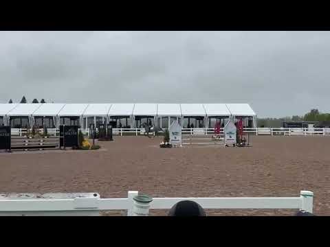 Resibalia video 3