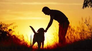 KOLIDESCOPES - Back To You