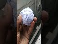 Paper Cracker Shorts Trending