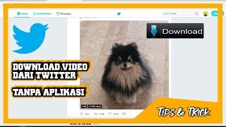 CARA DOWNLOAD VIDEO DARI TWITTER TANPA APLIKASI (PC dekstop)