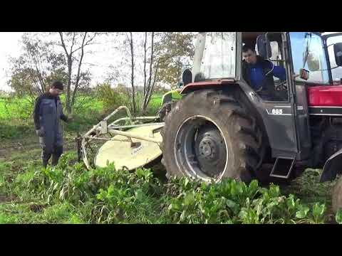 Landb. Van Deynze - Ursel - Case International 685 met FAMO T4