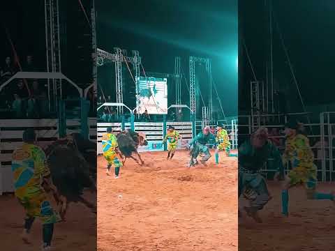 Rodeio Festa do Peão Mói Show Corbélia-Pr #rodeio #peao #touro #show #edit