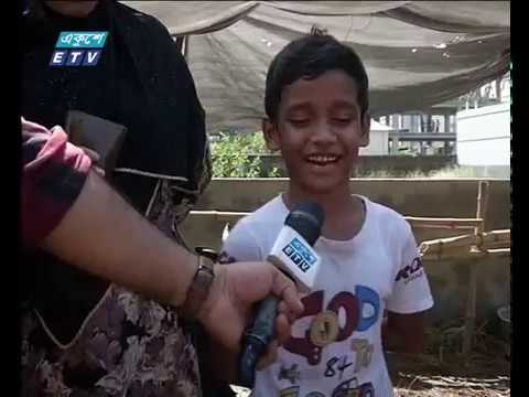 জমে উঠেছে রাজধানীর পশুর হাট, ক্রেতা বিক্রেতারাও সন্তুষ্ট