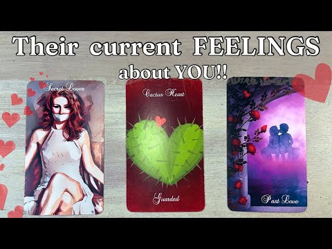 🤔👀 How are they FEELING about YOU??!! DETAILED Pick A Card Love Tarot Reading  * Timeless