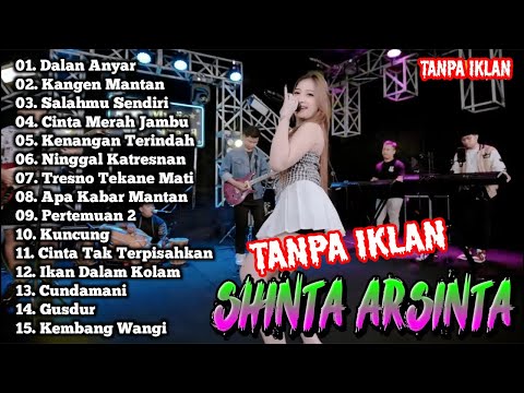 Shinta Arsinta Full Album Terbaru 2025 | Dalan Anyar - Kangen mantan - Salahmu Sendiri Dangdut Koplo
