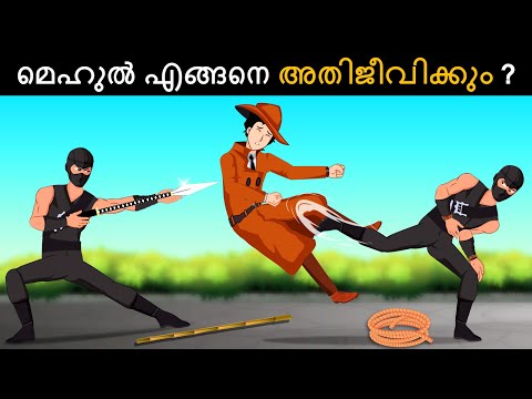 Episode 107 - Mehul Vs Kung Fu Thief  | മലയാളത്തിലെ കടങ്കഥകൾ | Riddles in Malayalam