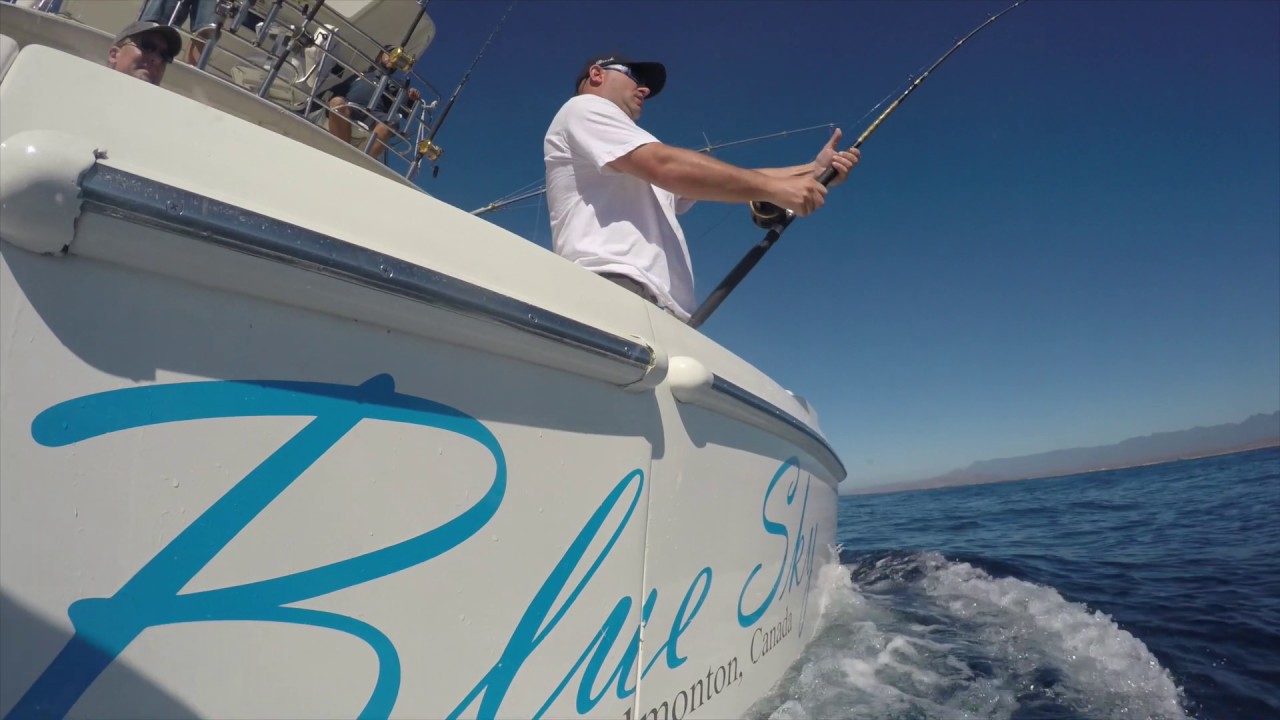 Deep Sea Fishing Action