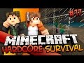Minecraft: Hardcore Survival w/Sky & Fin, EP 17 ...
