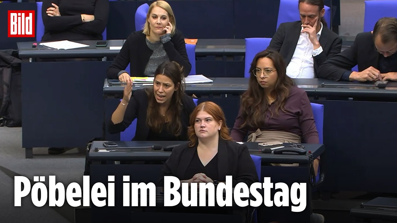 Ordnungsrufe während AfD-Rede: Linken-Abgeordnete Köktürk verlässt den Saal