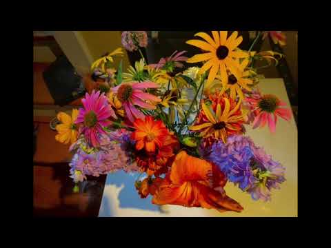 "My Love Colours Outside the Lines" (Gordon Light) MV 138