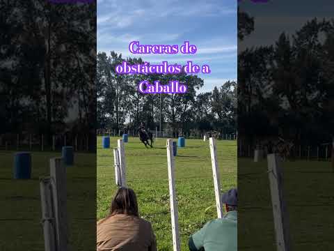 Criolla Manuel Ledesma los Cerrillos Canelones Uruguay
