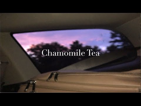 Chamomile Tea - Clare Palmer