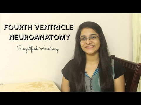 FOURTH VENTRICLE | NEUROANATOMY | SIMPLIFIED