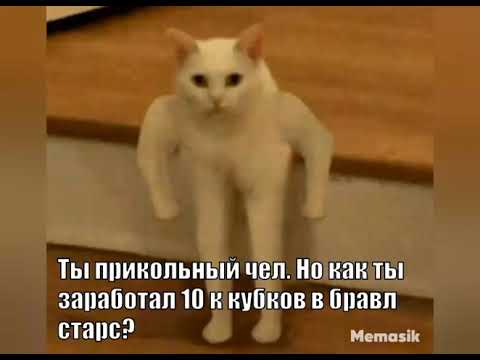 Привет Дима Симаков