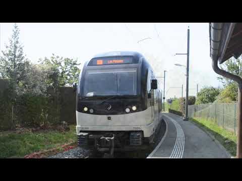A short but pretty train ride in Switzerland
