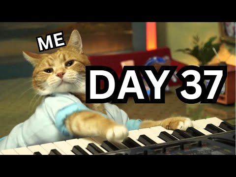 [Day 37] Mình đã học đàn với Methode Rose như thế nào - Vị trí nốt Sol || Học đàn cùng mình