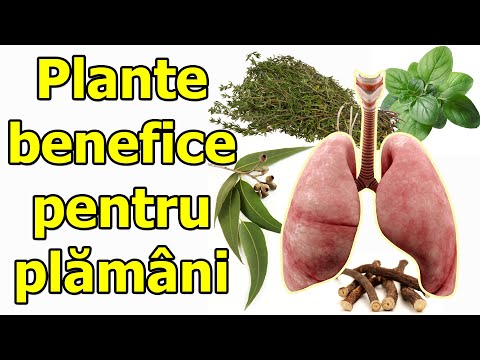 luxația luxată și inflamația articulației șoldului tratamentul gonartrozei articulației genunchiului