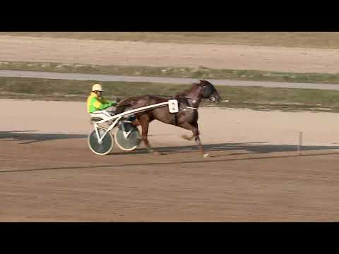 2019.10.26. 04. futam - ORLANDO VICI HENDIKEP - AMATŐRVERSENY