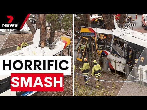 Bus driver rescued after horror O-Bahn crash at Modbury | 7NEWS
