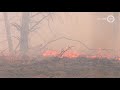 VIDEO | Grote brand verwoest 25 hectare natuurgebied bij Arnhem