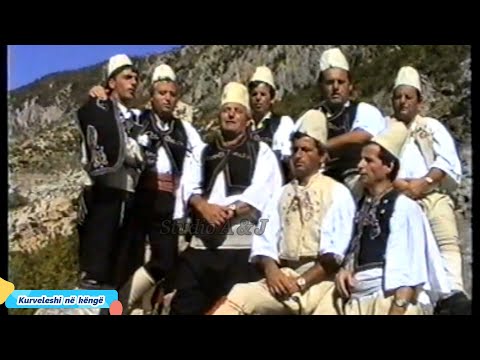 Pleqeri a meç malule