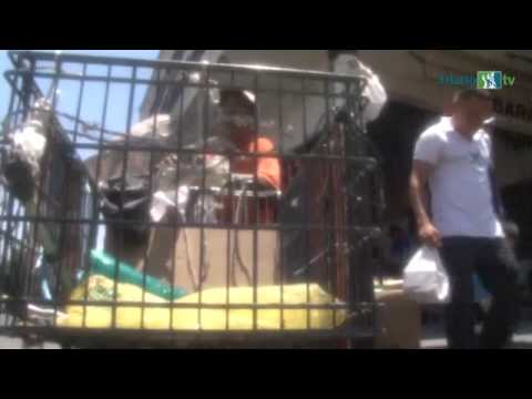 Don Leo, el Taxista del Mandado