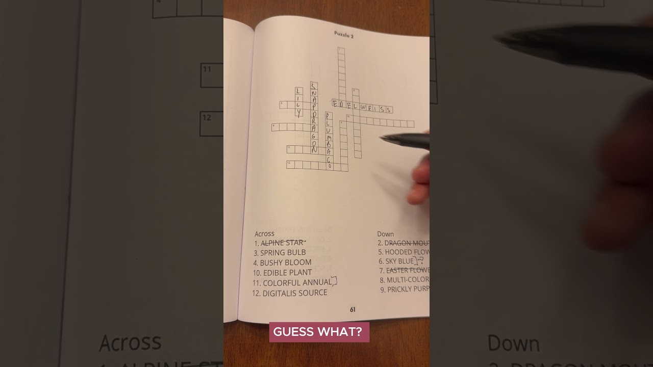 Crossword Detective: Bird Activity Book | Fun Puzzles for Bird Lovers!