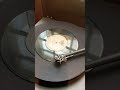David J “I Can’t Shake This Shadow of Fear” FULL REVIEW