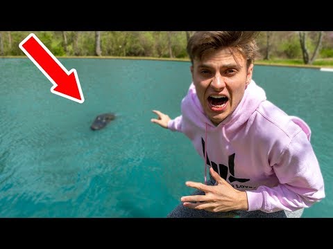 MONSTER IN POND!! (CAUGHT ON CAMERA) Video