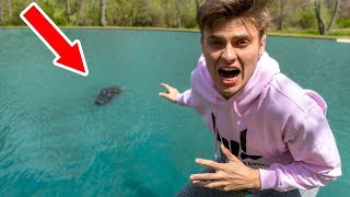 MONSTER IN POND!! (CAUGHT ON CAMERA)