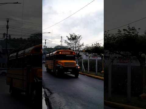 Transporte San Pedro Matagalpa San Dionisio Esquipulas Y Transporte Guadalupano Rivera