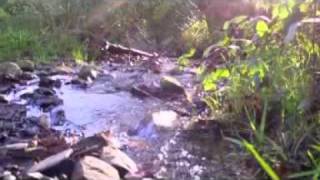 sailors  by irish singer songwriter Richie Healy