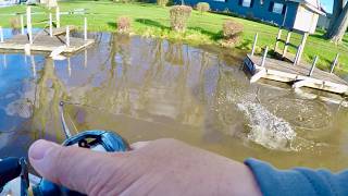 These GIANT Fish were EVERYWHERE! - Fishing the WI FLOOD!