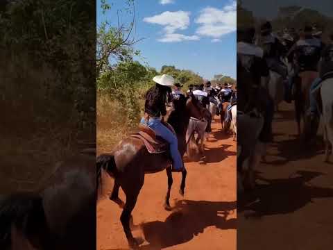 #minasgerais #lontra