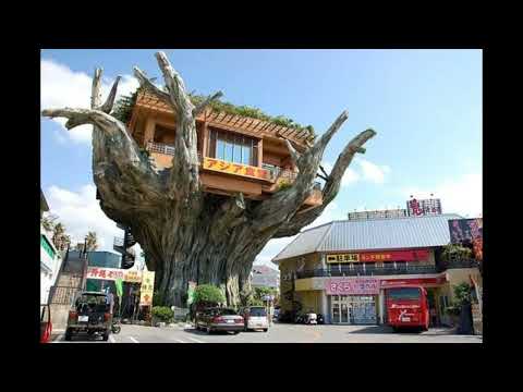 LE 15 CASE PIU' STRANE