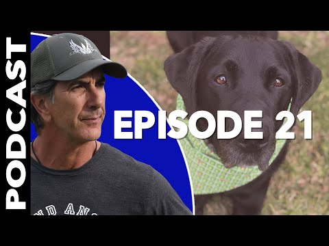 How to Have a Healthy Relationship with Your DOG - Dog Training Video Podcast Episode 21