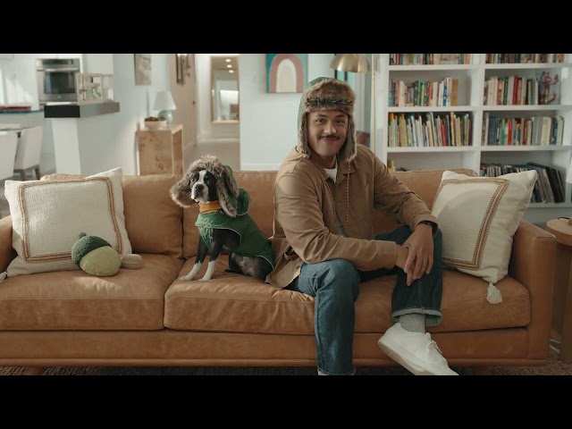 Target – The Pets of Tarjay