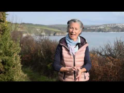 Lung and Large Intestine